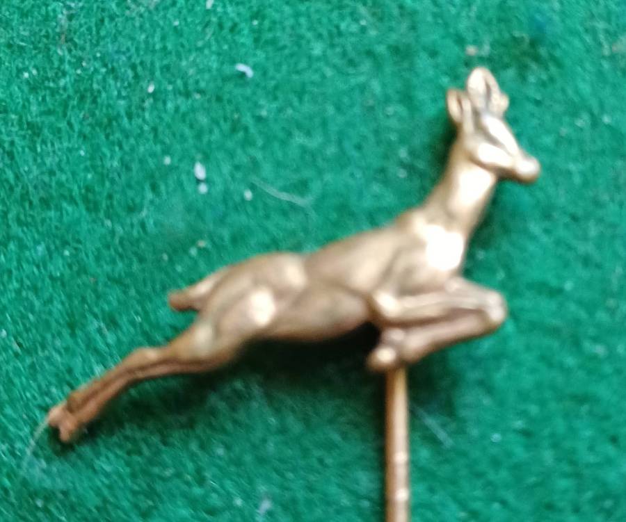 SA Springbok lapel pin badge