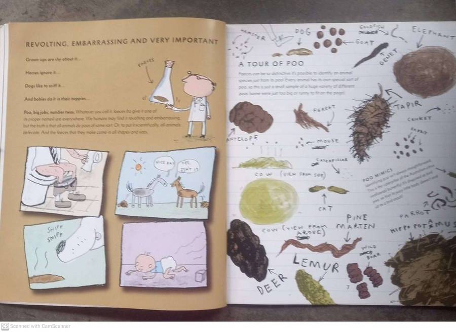 Poo: A Natural History of the Unmentionable - Nicola Davies