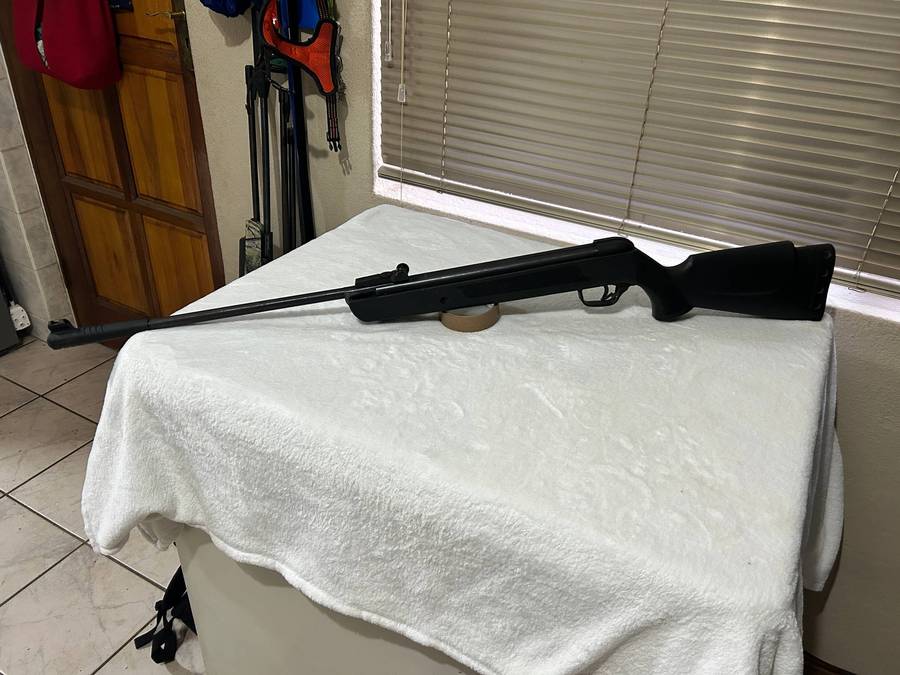 Pellet gun