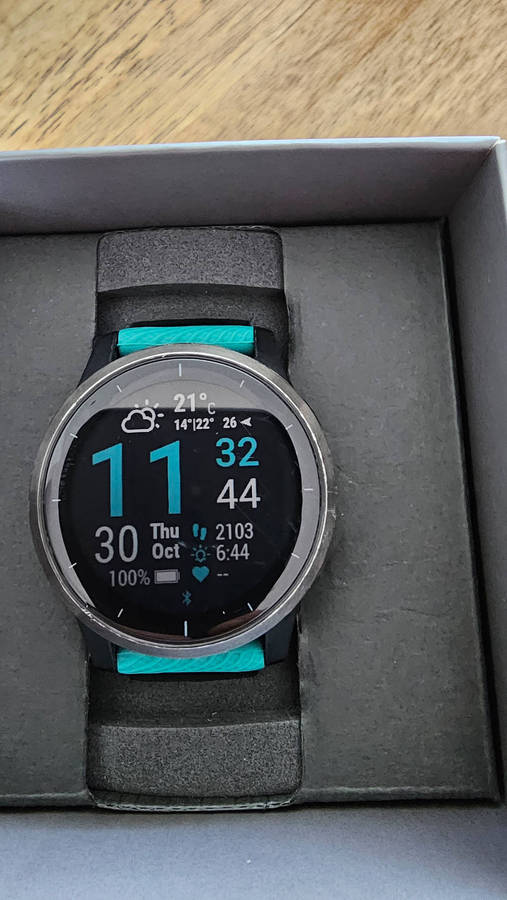 GARMIN vivoactive 4