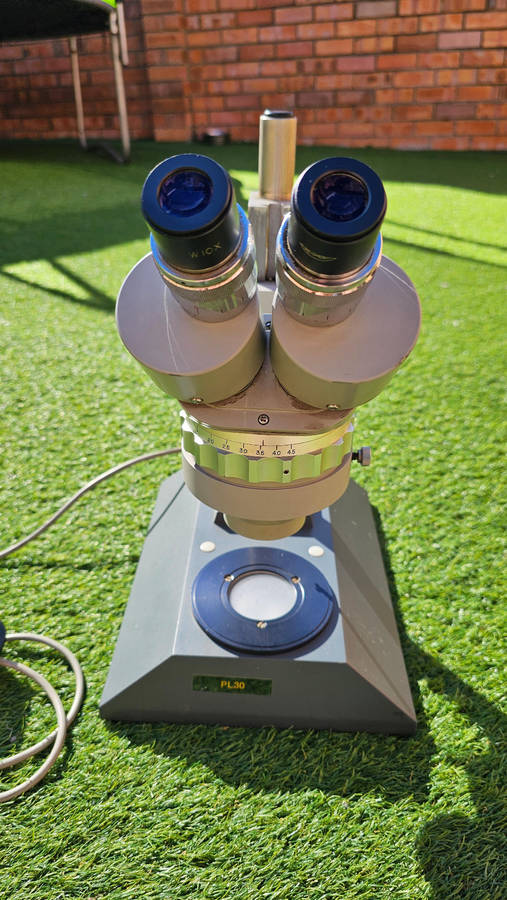 Reichert Stereo Microscope MODEL 300701