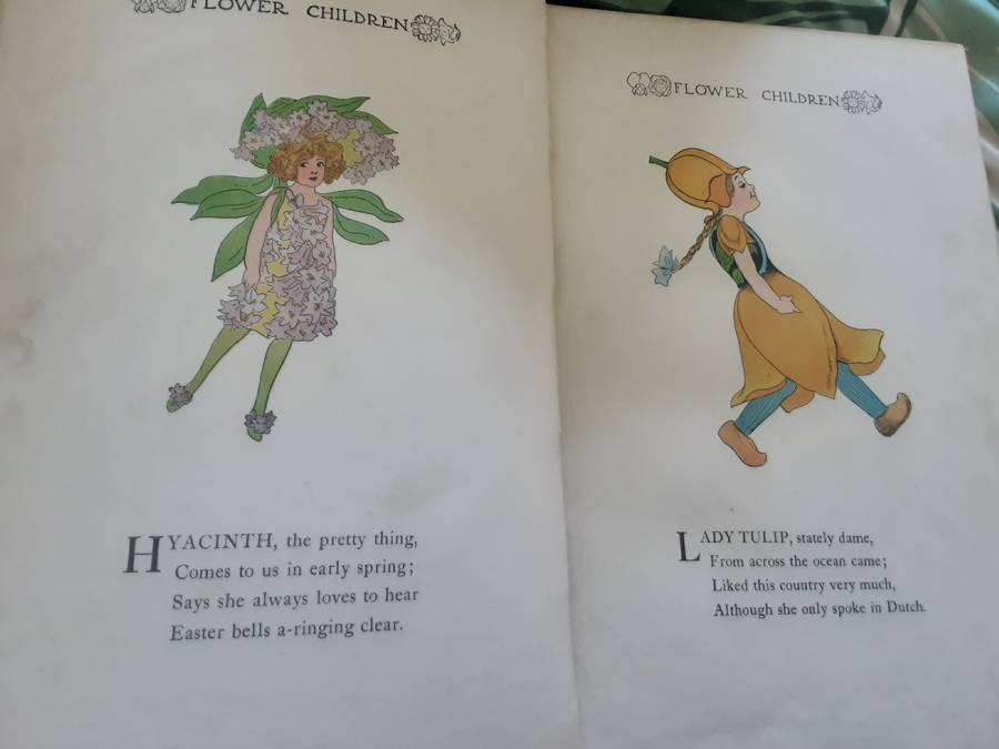 Flower Children, The Little Cousins of the Field and Garden by Elizabeth Gordon