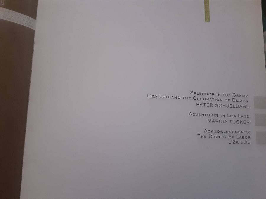 Liza Lou, Essays by Peter Schjeldahl, Liza Lou and Marcia Tucker