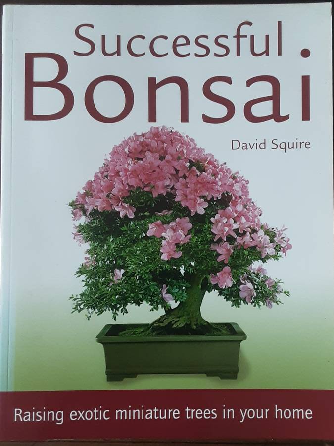 Successful Bonsai by David Squire
