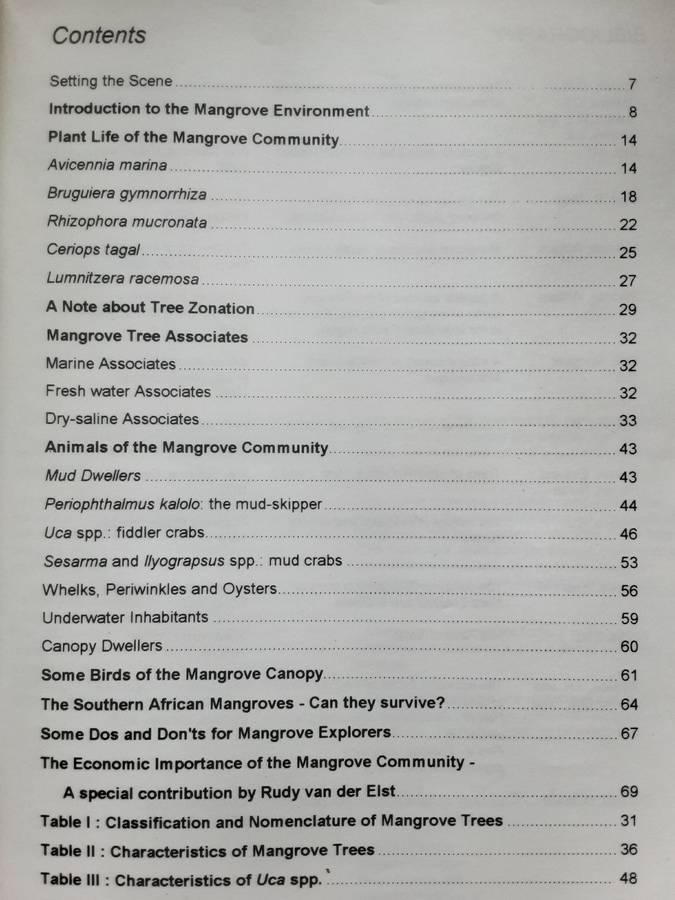 In the Mangroves of Southern Africa by Berjak, Campbell, Hackett and Pamnenter