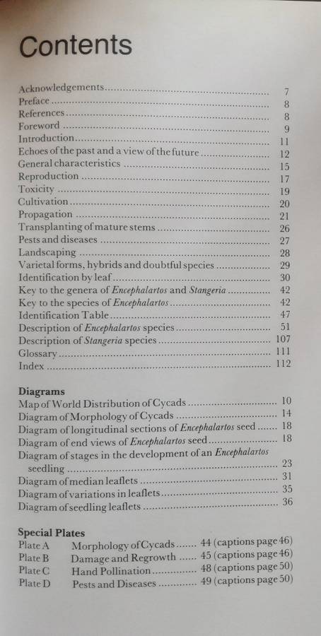 Cycads of South Africa  by Cynthia Giddy