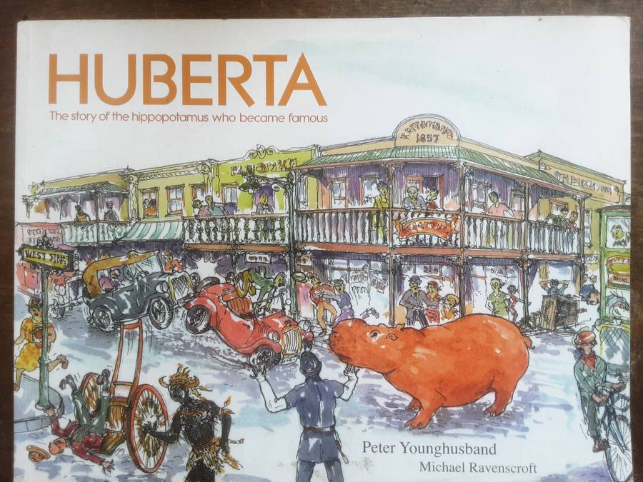 Huberta The Story of the Hippopotamus Who Became Famous by Peter Younghusband