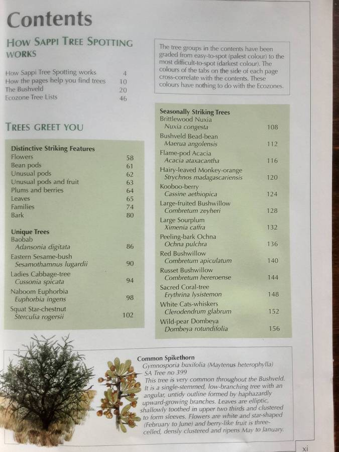 Sappi Tree Spotting Bushveld Including Pilanesberg & Magaliesberg by Rina Grant and Val Thomas