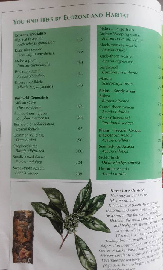 Sappi Tree Spotting Bushveld Including Pilanesberg & Magaliesberg by Rina Grant and Val Thomas