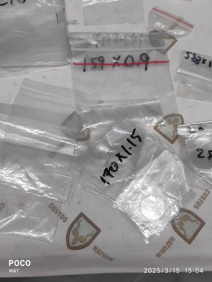 New Mixed Mineral Watch Glass