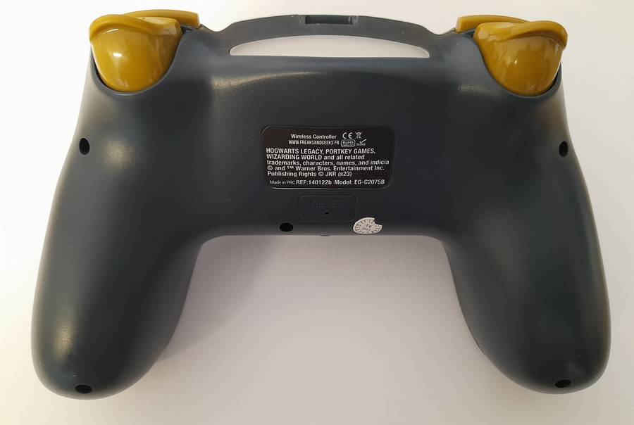 PS4 Controller Hogwarts Legacy Landscape