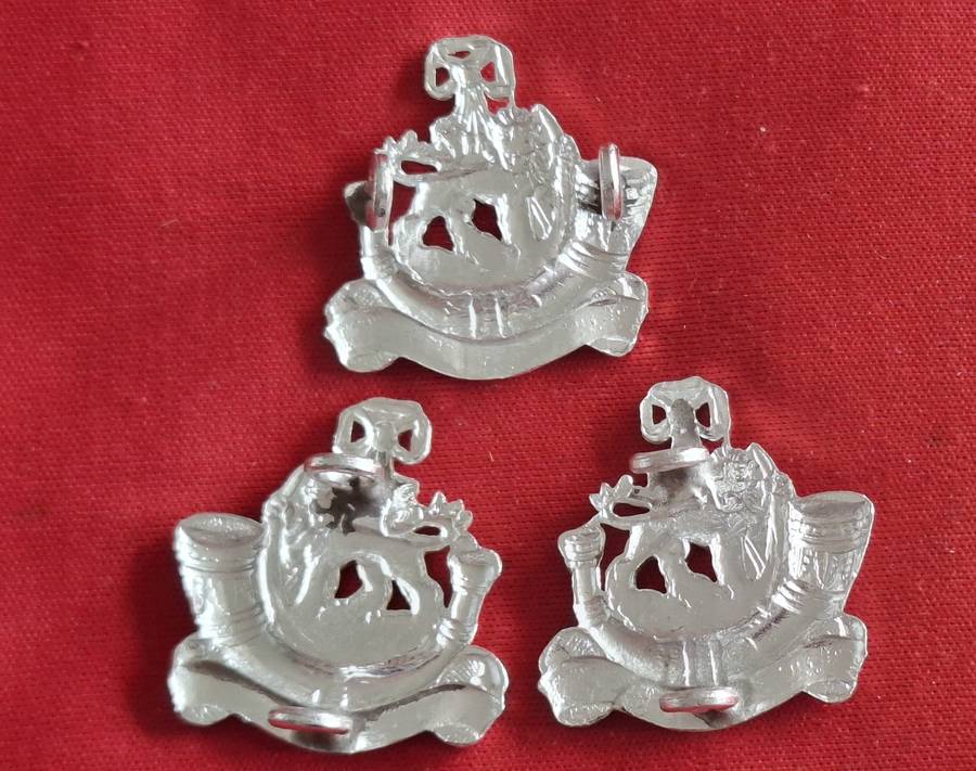 RHODESIAN LIGHT INFANTRY - SET CAP + FACING PAIR ANODISED COLLAR BADGES          (8914)