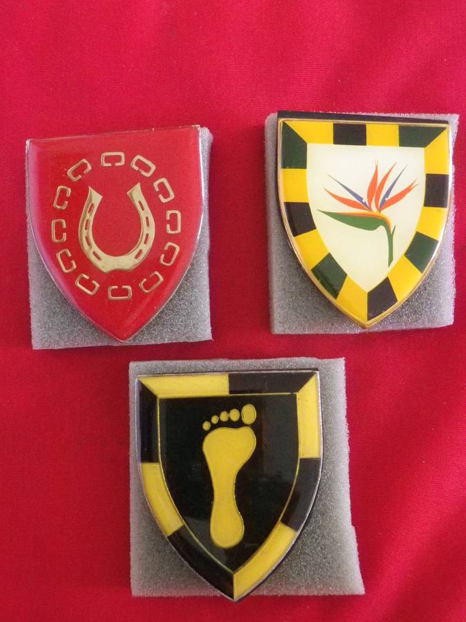 SADF / SWATF - 3 X FLASHES, 6 SAI, SWA SPECIALIST UNIT, HERCULES CDO.   1 PIN MISSING + 2 BACKINGS