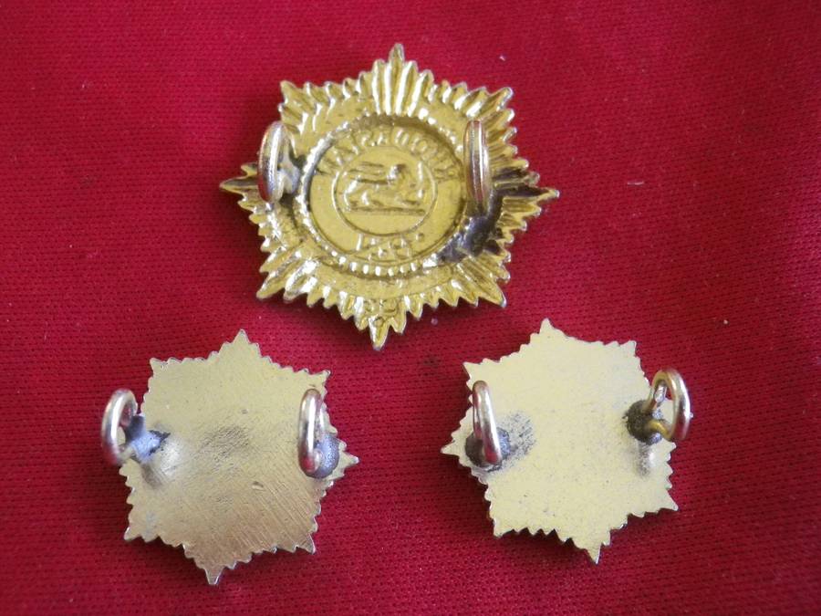 RHODESIAN ARMY SERVICES CORPS - ANODISED BERET + FACING PAIR COLLAR BADGES         (8719)