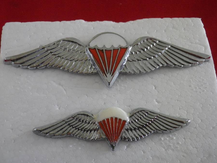 SADF - SA PARA FREE FALL CHROME + ENAMEL WINGS - FULL + MESS DRESS  (8863)