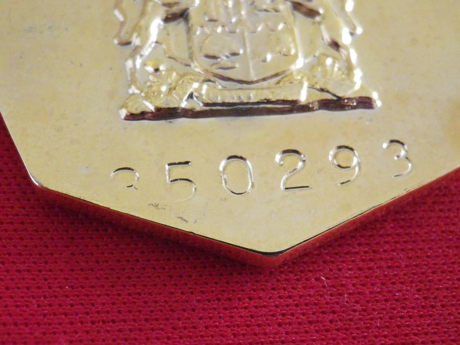 SADF - PRO PATRIA FULL SIZE + MINIATURE MEDAL - NUMBERED + CUNENE CLASP  -  UNRESEARCHED  (8894)