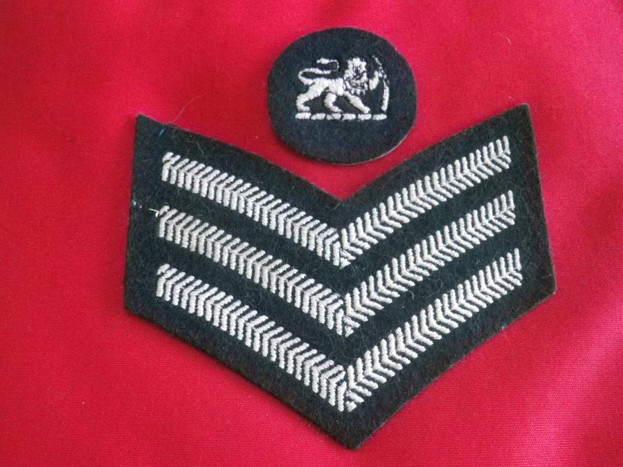 RHODESIAN ARMY - COLOUR SERGEANT  GREENS  DRESS RANK            (200)
