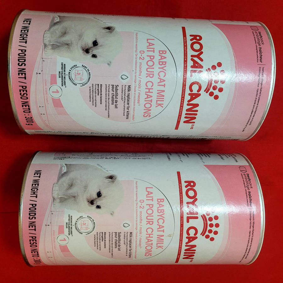 300g ROYAL CANIN BABY CAT MILK - Milk Replacer For Kittens. Expiry: 12.03.25