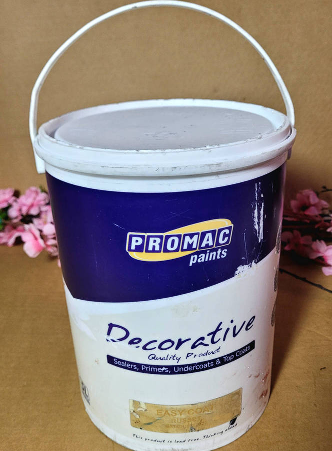 PROMAC LEAD-FREE EASY COAT (Russet Colour) Waterproof Paint