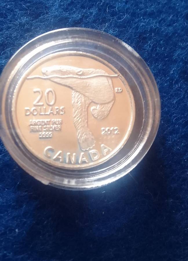 Silver Tickey: Canada Fine Silver Polo Bear One Gram Coin (1 gm) - In Capsule