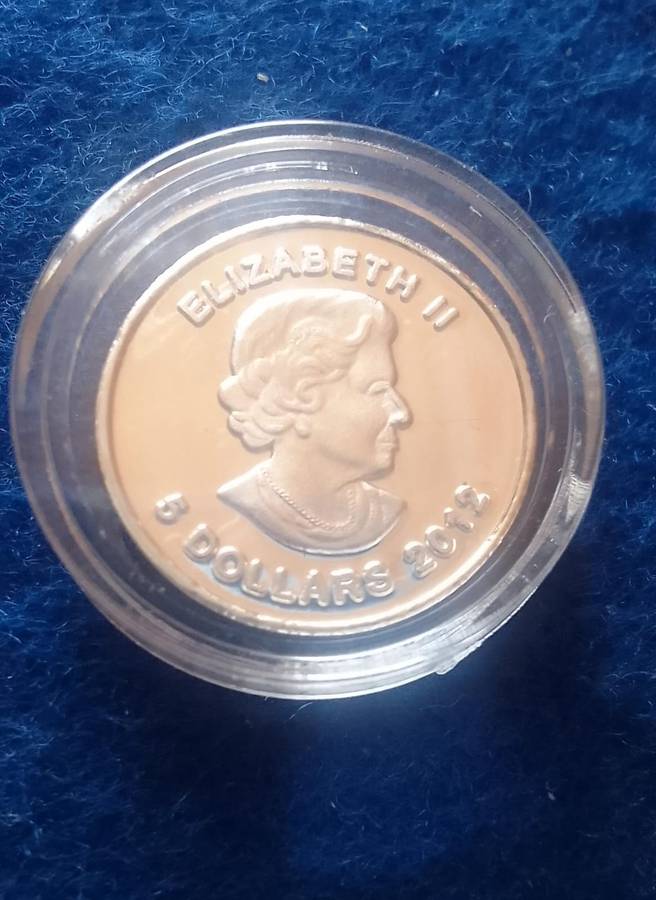 Silver Tickey: Canada Fine Silver Polo Bear One Gram Coin (1 gm) - In Capsule