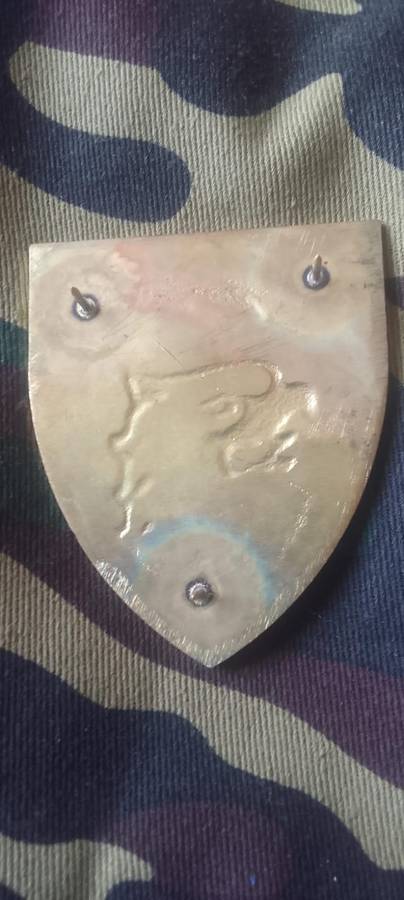 SADF 44 PARACHUTE   SIGNAL REGIMENT  SHOULDER FLASH