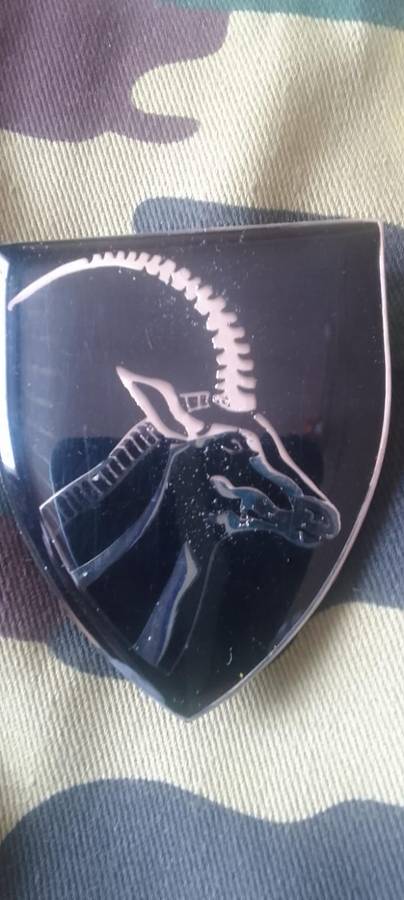 SADF BARBERTON COMMANDO SHOULDER FLASH  - WITH PINS