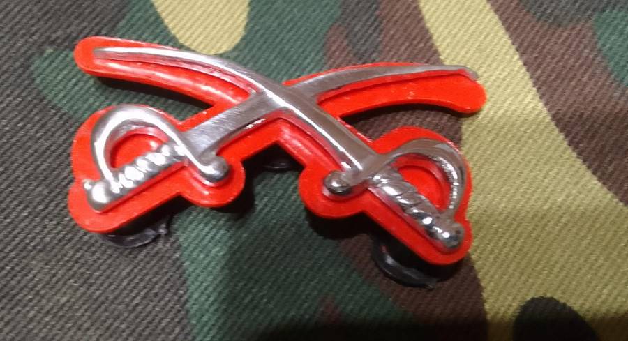 SADF - SANDF PT INSTRUCTOR ASSISTANT CHROMED BADGE - all pins