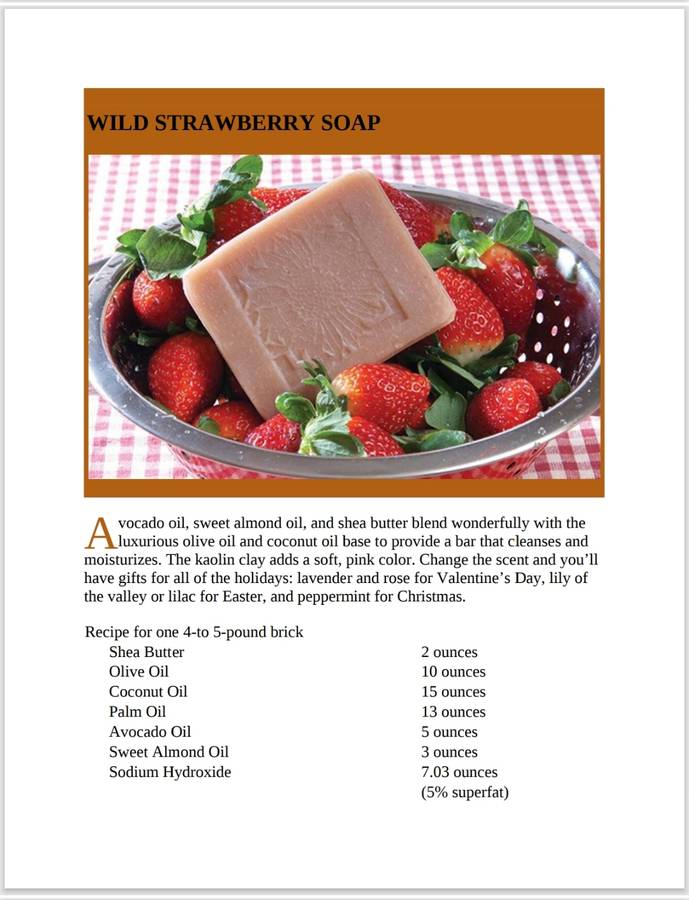 Natural Soap Making PDF EBOOK
