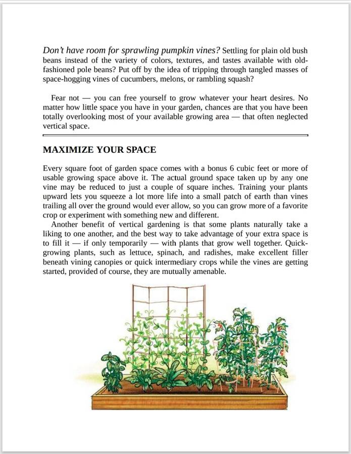 Vertical Vegetables & Fruit PDF EBOOK