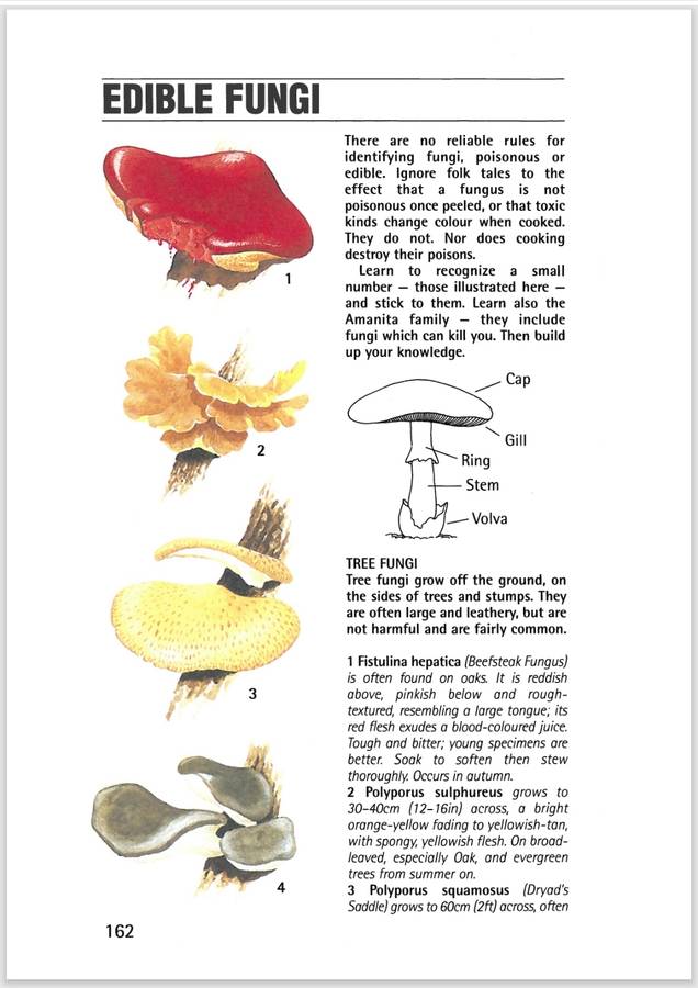 SAS Survival Handbook  PDF EBOOK