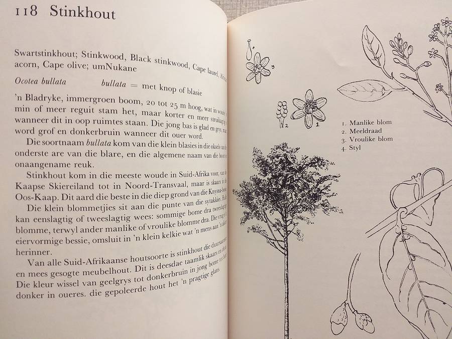 Ons eie boomboek (Cythna Letty)