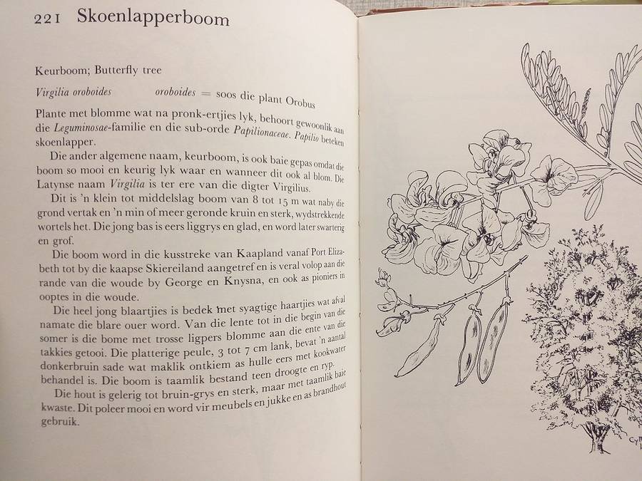 Ons eie boomboek (Cythna Letty)