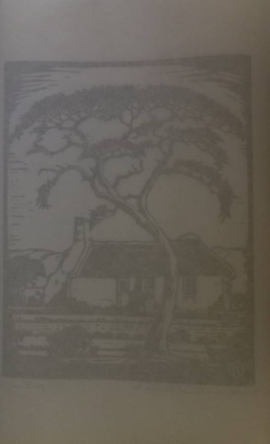 Linosniee afdruk van Doringboom met huis Silverton Pretoria (Pioniers) deur Jacob Hendrik Pierneef