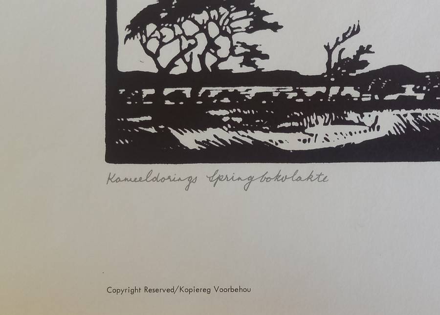 Linosniee afdruk van Kameeldorings Springbokvlakte deur Jacob Hendrik Pierneef
