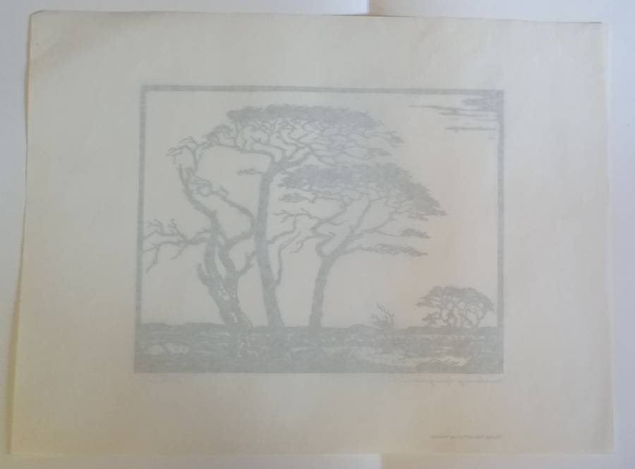 Linosniee afdruk van Kameeldorings Springbokvlakte deur Jacob Hendrik Pierneef