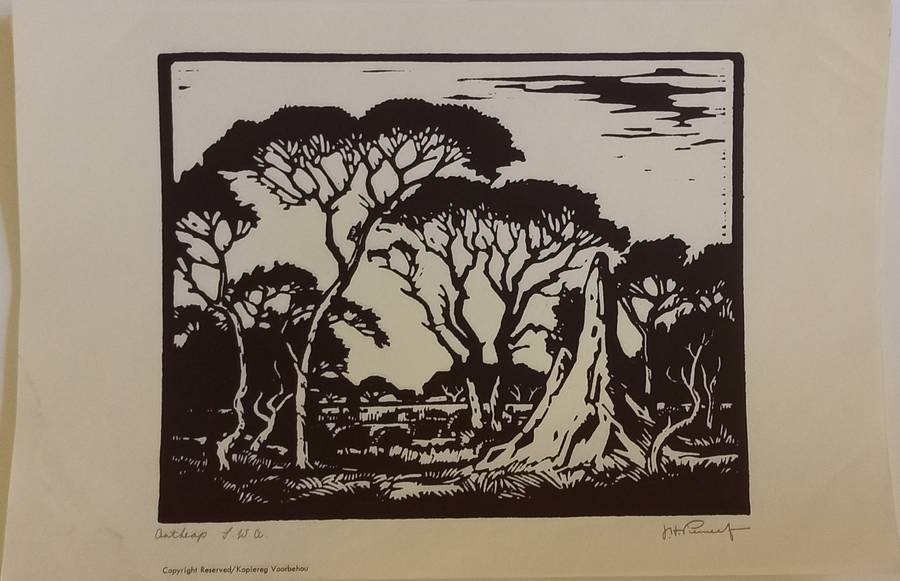 Linosniee afdruk van Miershoop SWA deur Jacob Hendrik Pierneef
