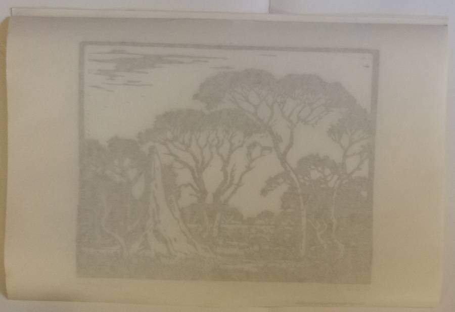 Linosniee afdruk van Miershoop SWA deur Jacob Hendrik Pierneef