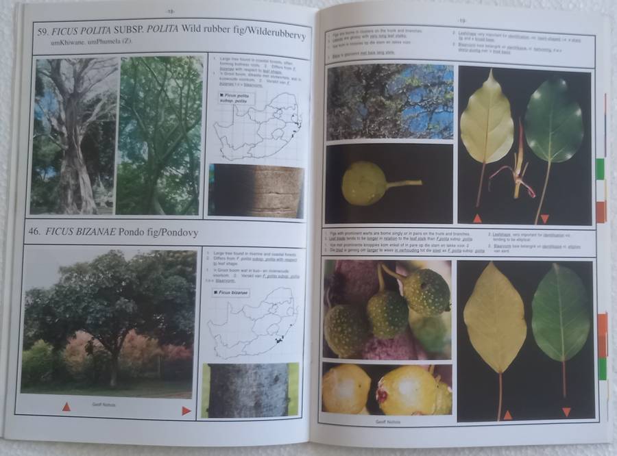 SA Ficus Identifikasiegids Identification Guide (Marthinus Steyn) SA Acacia Identifikasiegids