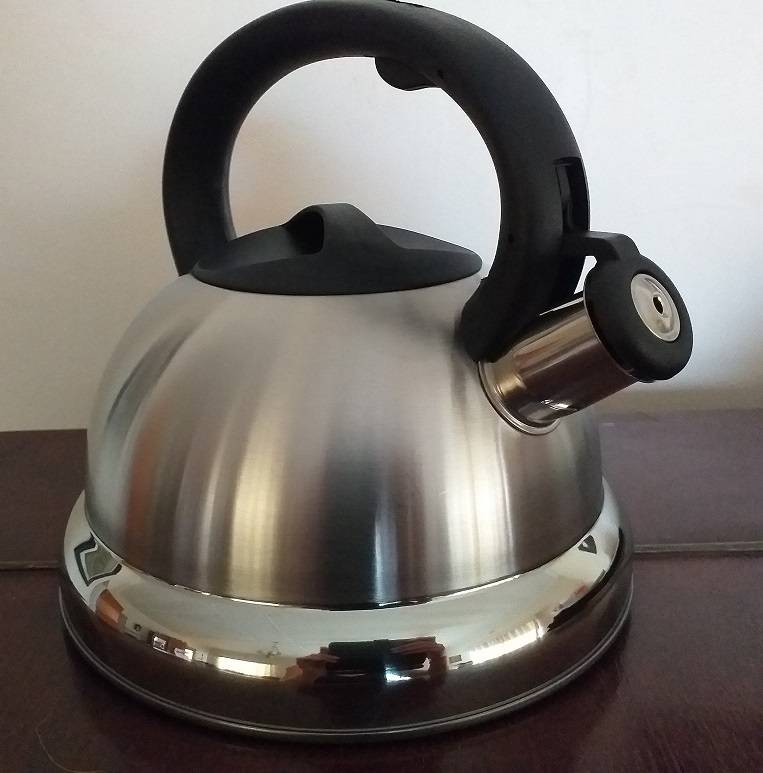 Brand new stovetop stainless steel kettle (for example for gas plate) in box