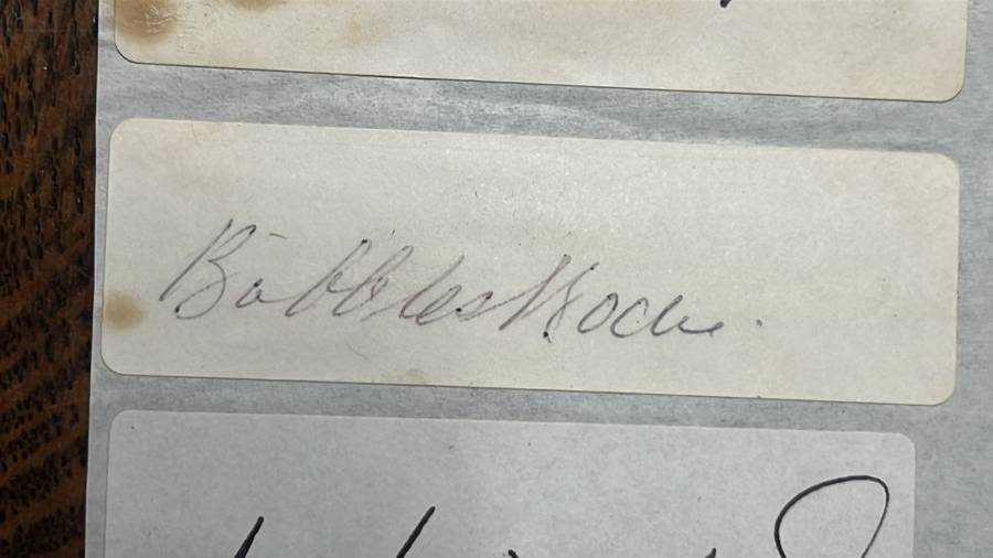 Original Signatures of 13 Springboks, details below