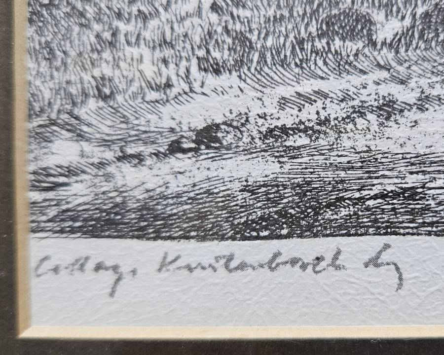 Signed Tinus de Jongh