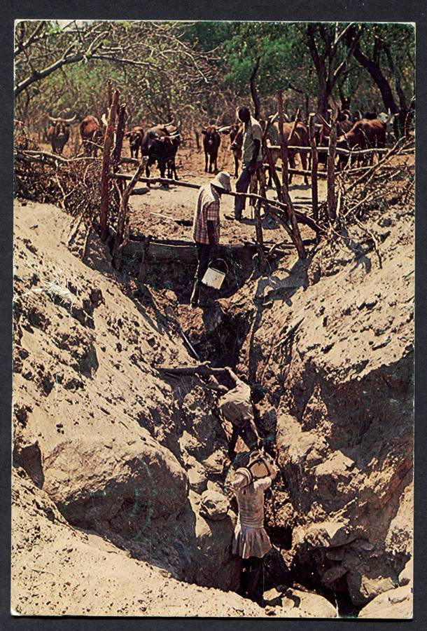 Botswana - Post Card