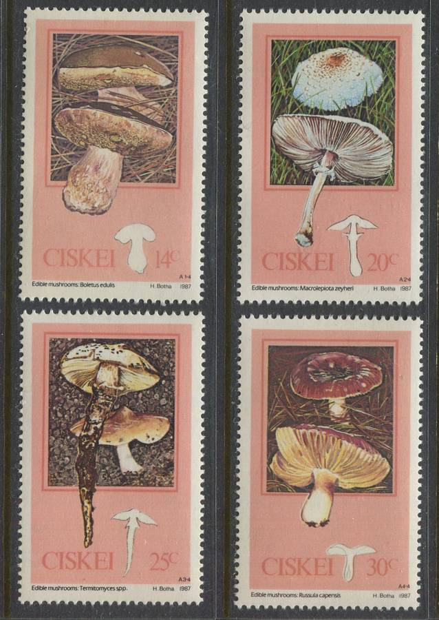 Ciskei - 1987 - MNH