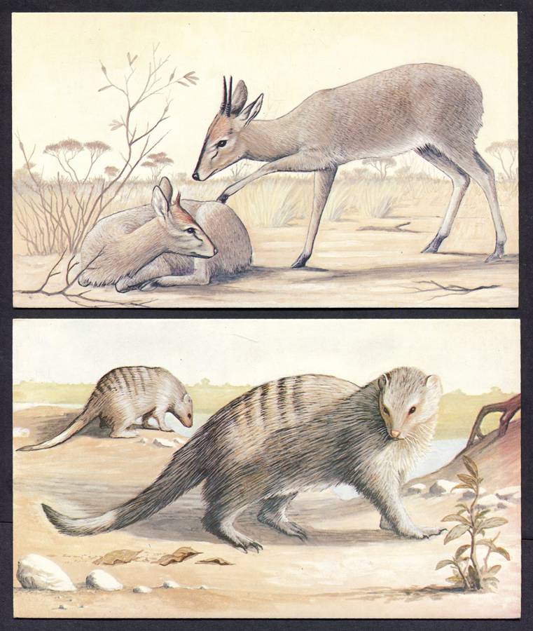 Botswana - 18 Unused Post Cards - Part Set 18 Of 20 - No Stamps
