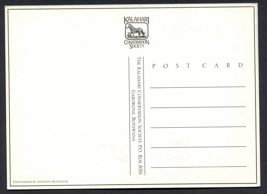 Botswana - Post Card