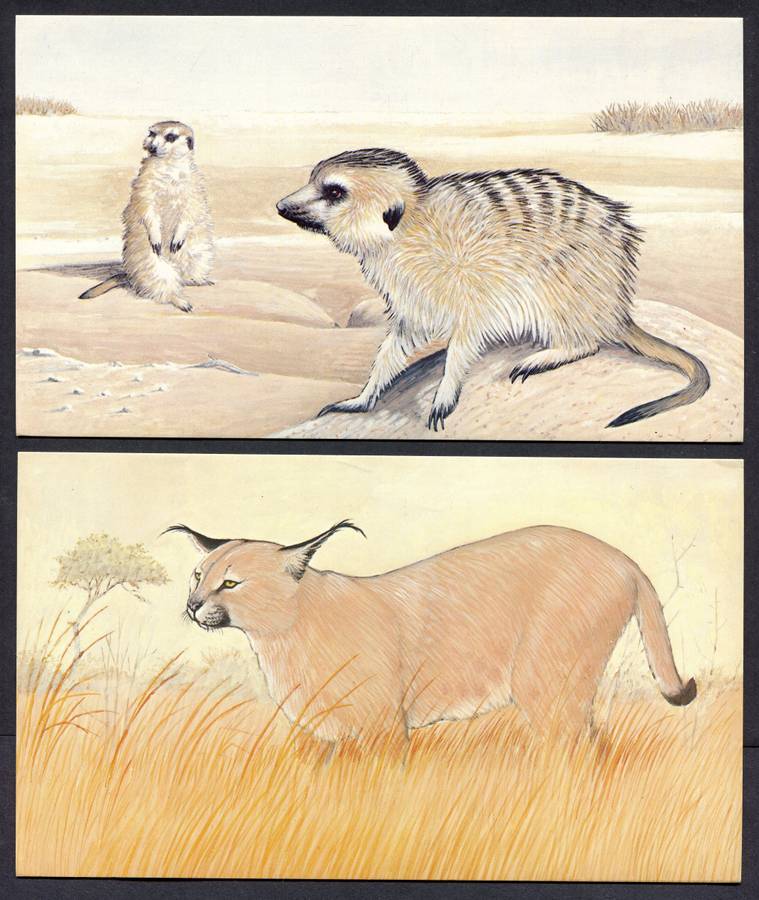Botswana - 18 Unused Post Cards - Part Set 18 Of 20 - No Stamps