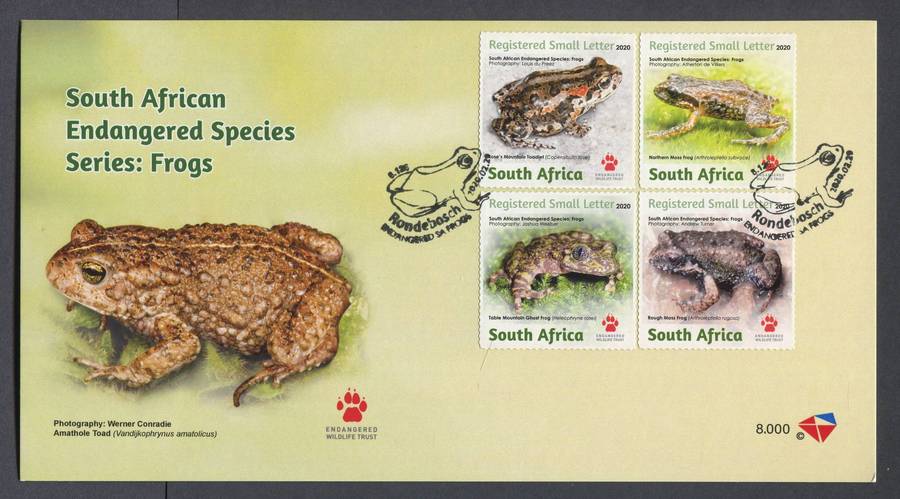 RSA - FDC - Card - No 8.000 - 2020