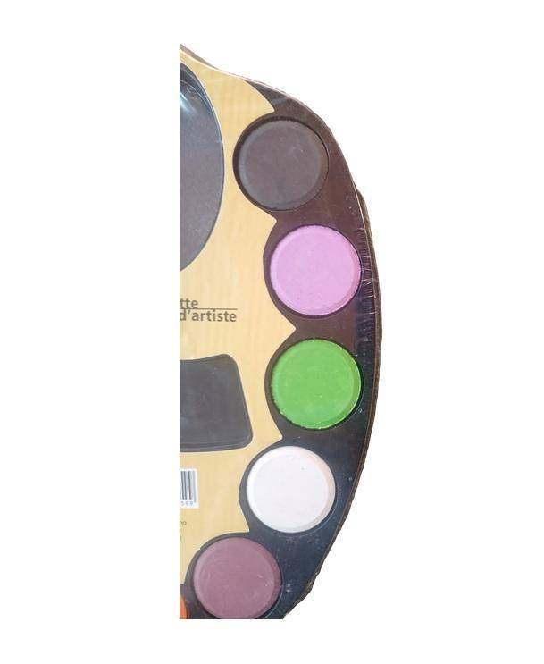 Vibrant Watercolor Artistic Paint Palette Set - Contains 12 Different Vibrant Colors