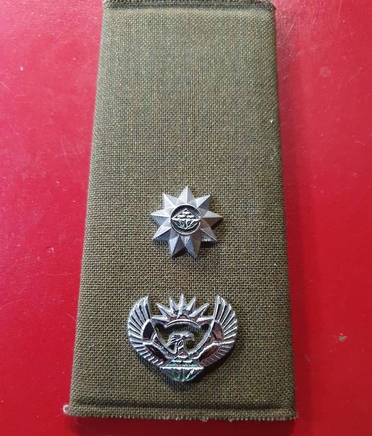 1 X LT. COL.  RANK SLIDE